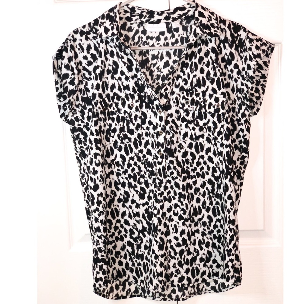 New York & Company Top